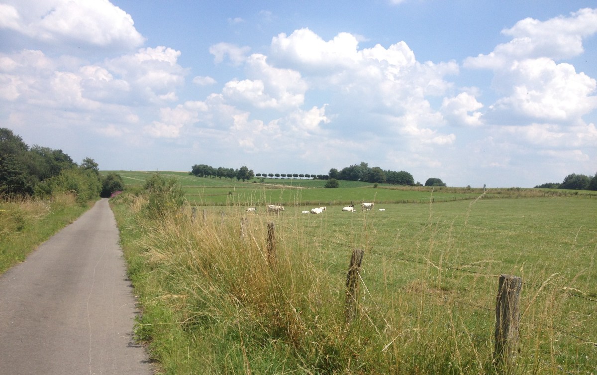 Loperspraat – Zon, zweet en duurlopen in de maand&nbsp;juli