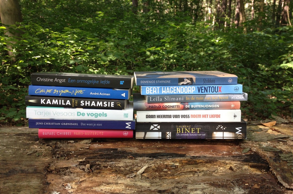 Het boek – Mijn zomervakantie in 12&nbsp;boeken