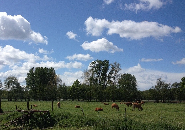 Loperspraat – Decompressie, rust en onrust in&nbsp;april