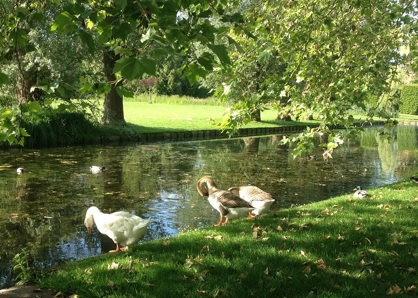 Loperspraat – Kwakkelen en kwaken in&nbsp;mei