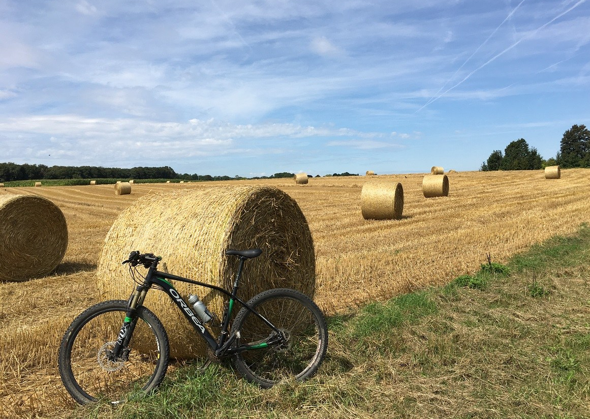 Duatlonspecial – Eén jaar op de&nbsp;fiets