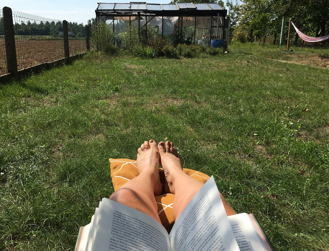 Het boek – Mijn zomervakantie in 20&nbsp;boeken