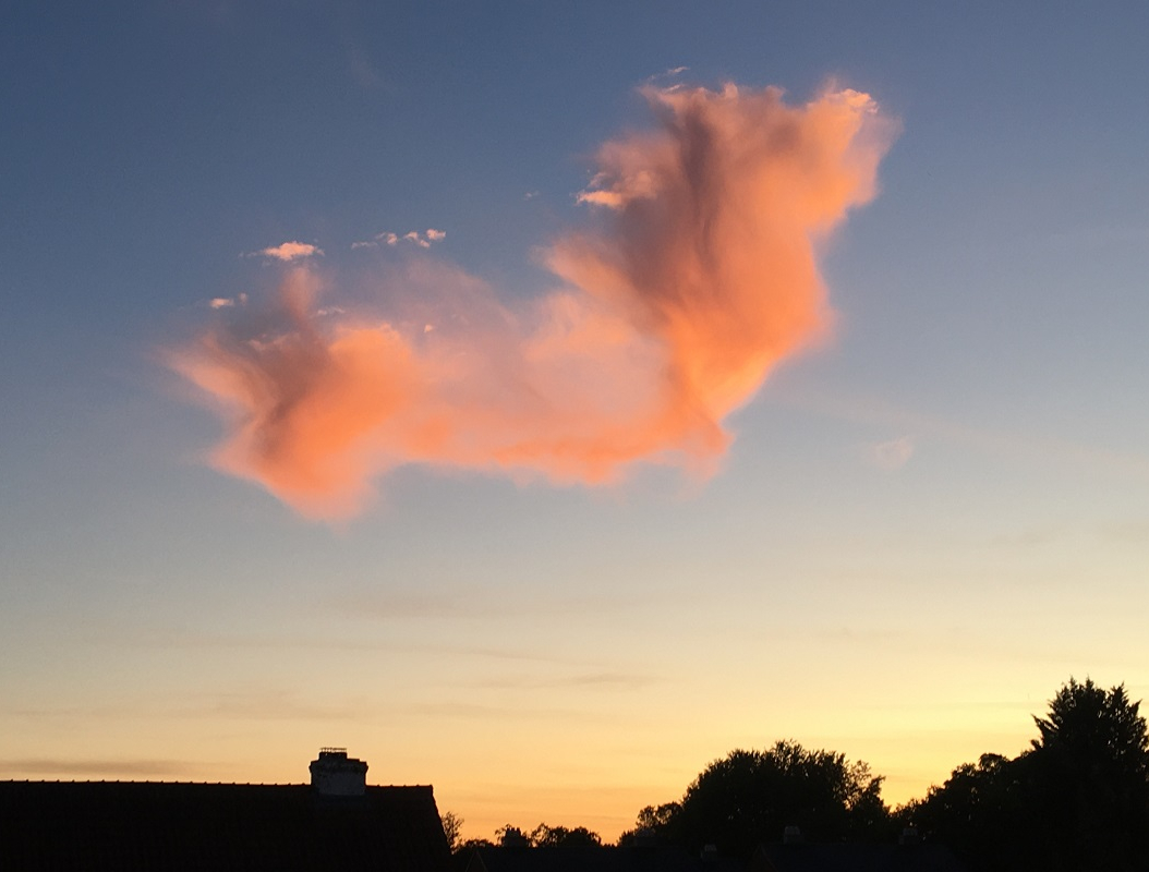 De gedachte – Dag van de&nbsp;leerkracht