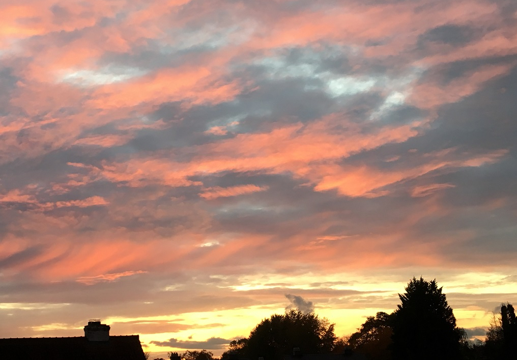 De muziek – Mijn awards van&nbsp;2019