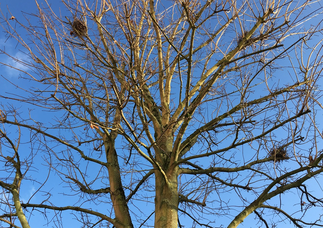 Gelukkige Gedichtendag!