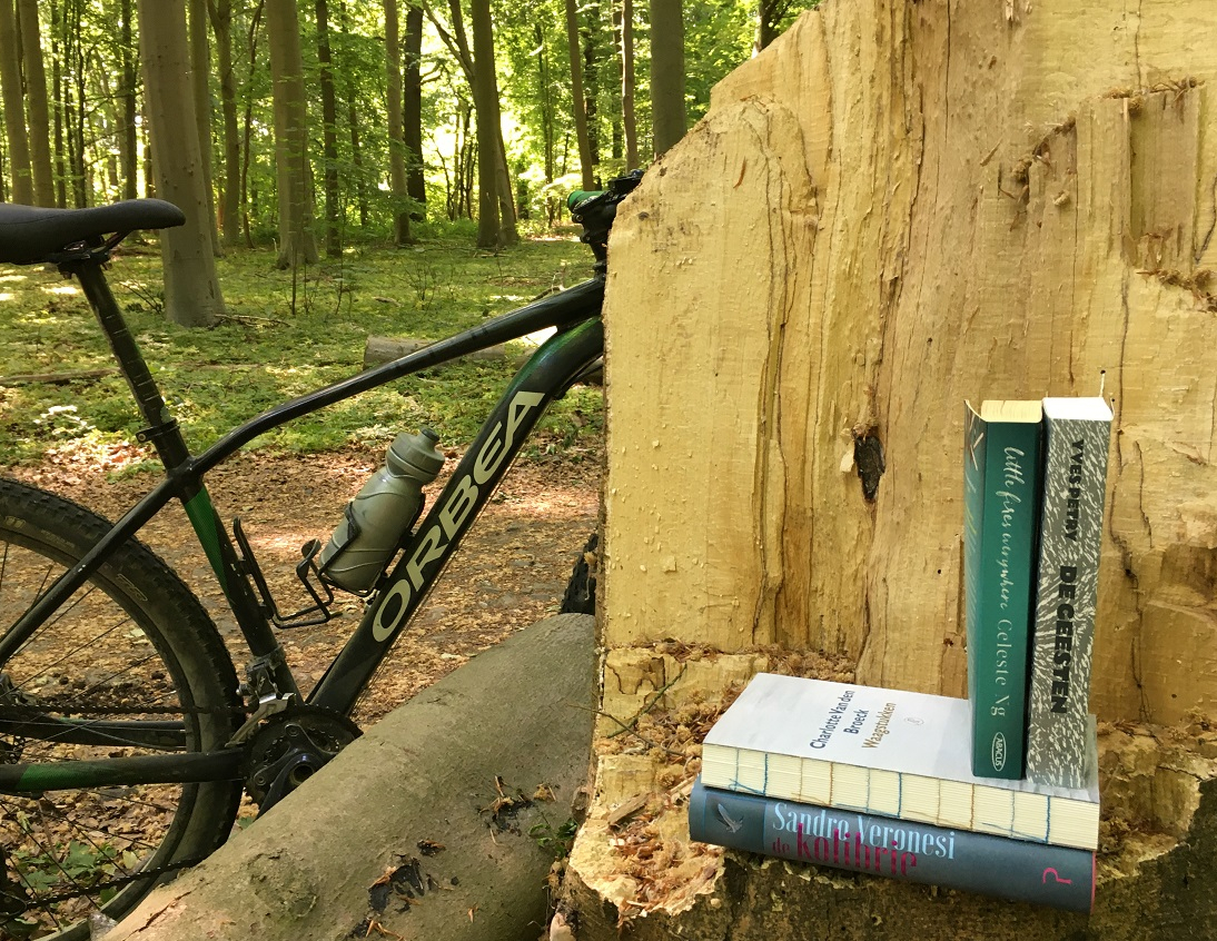 Het boek – Lezen in tijden van lockdown&nbsp;#2