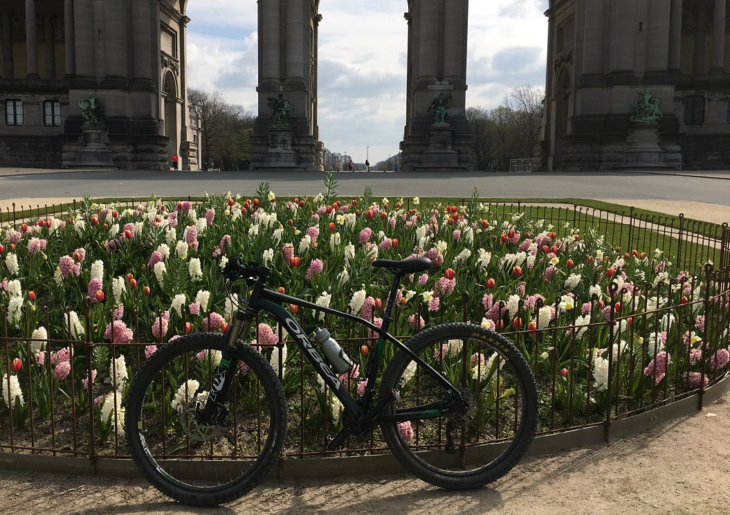 De gedachte – Hoe zou het zijn&nbsp;met?