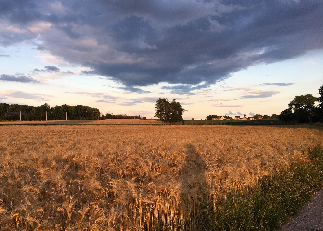 De blog – Over twee jaar&nbsp;schrijven