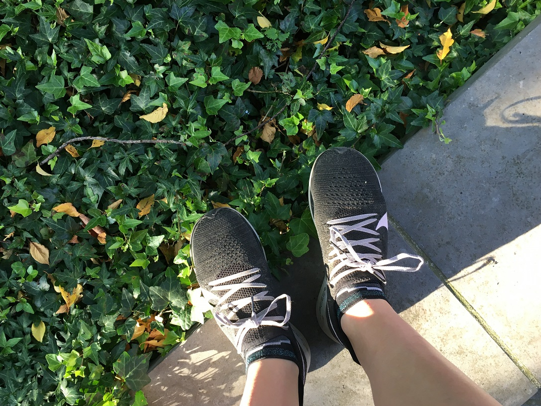 Marathonpraat – Op weg naar de&nbsp;Suikermarathon