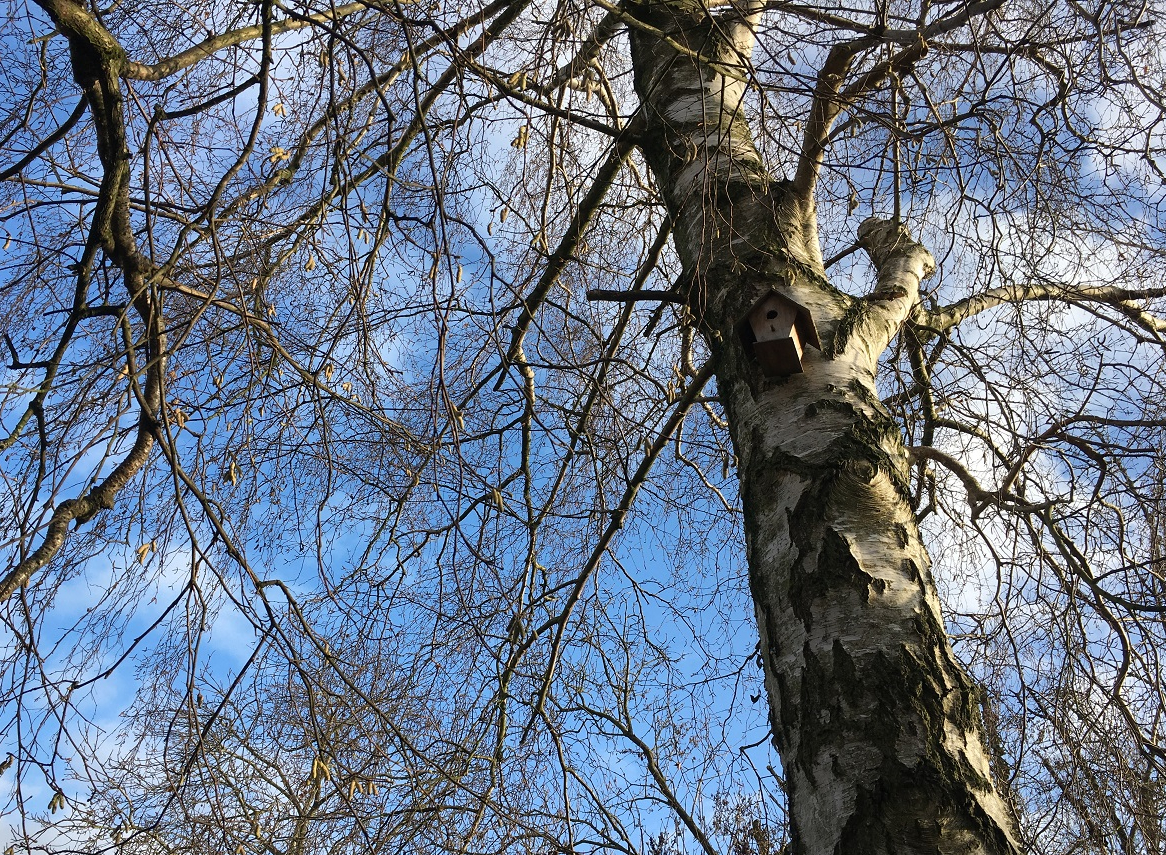 Het moment – En nu op naar&nbsp;2021!