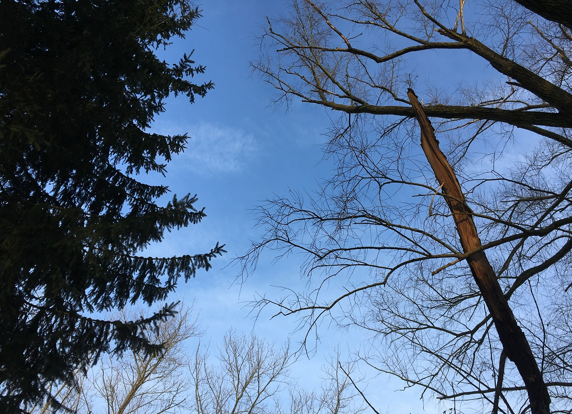 De gedachte – Over&nbsp;passie