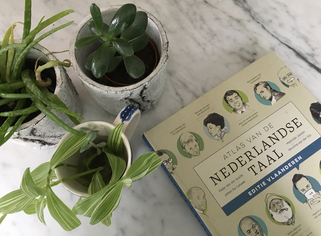 De gedachte – 10 x over&nbsp;spelling