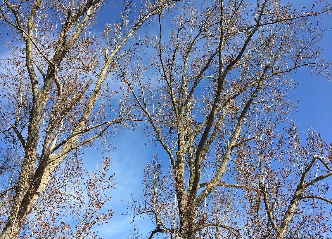 De gedachte – Over&nbsp;autisme