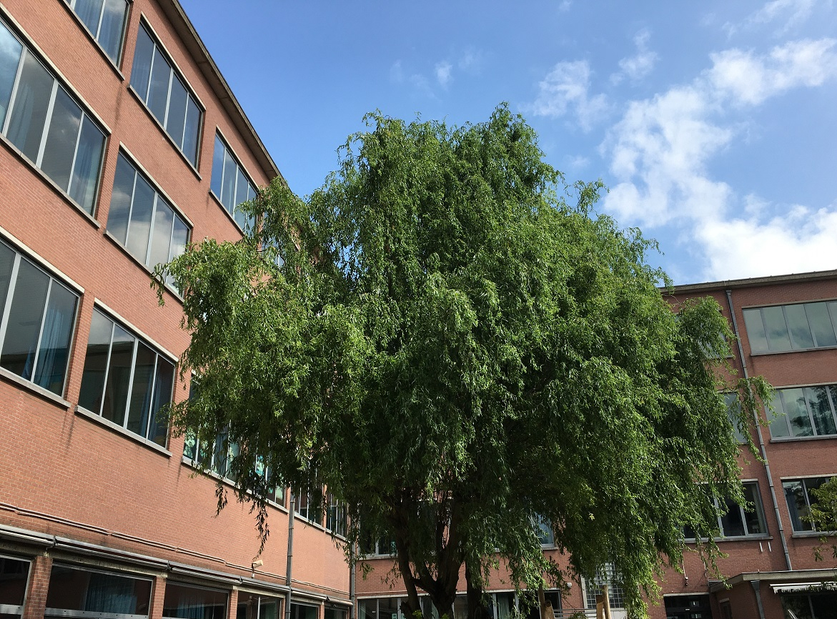 Het moment – Terug naar&nbsp;school