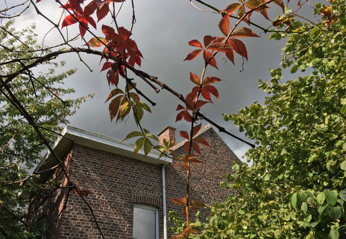 Het moment – Wat een&nbsp;week!