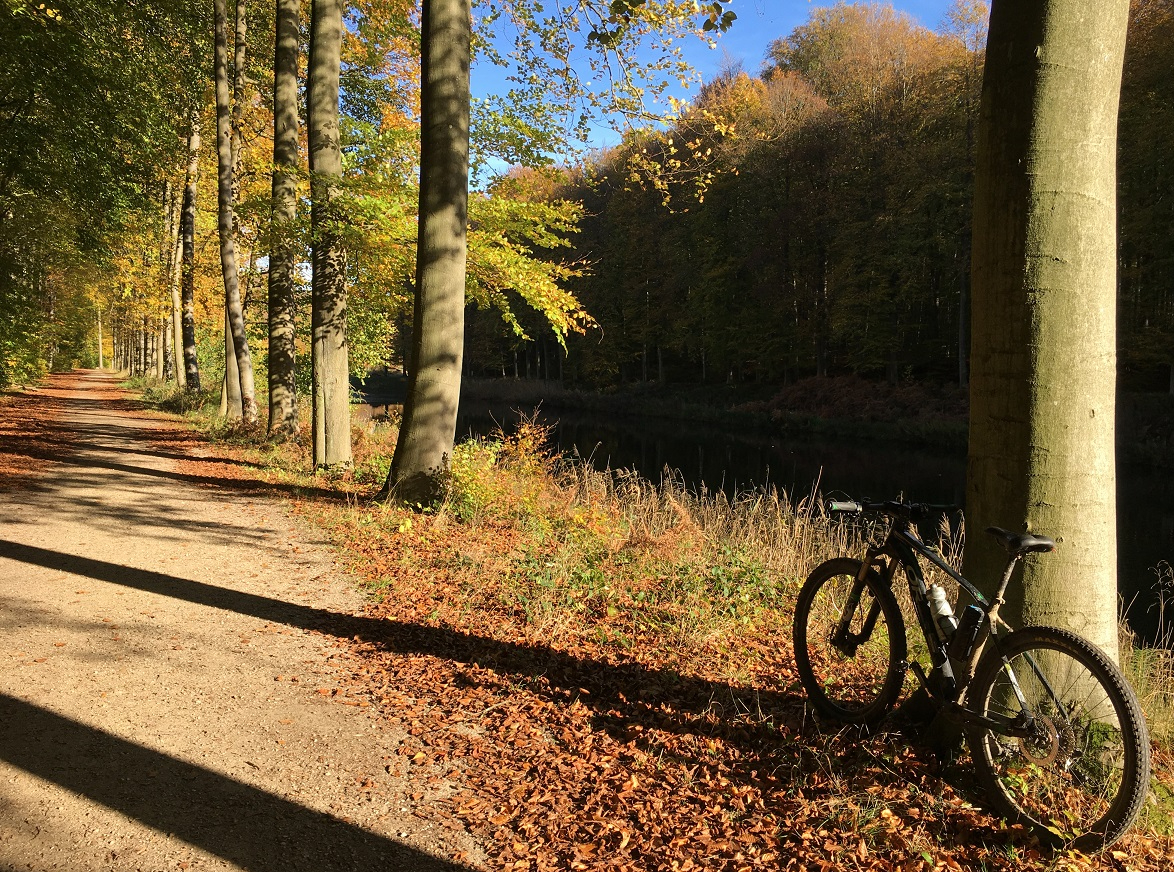 Het moment – Wat mij zoal bezighoudt op de&nbsp;fiets