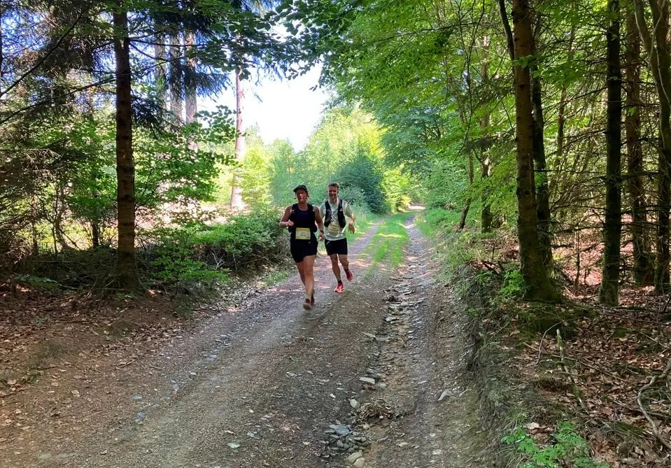 bf2577c3-ade3-4e1c-85f3-cdef20964c67