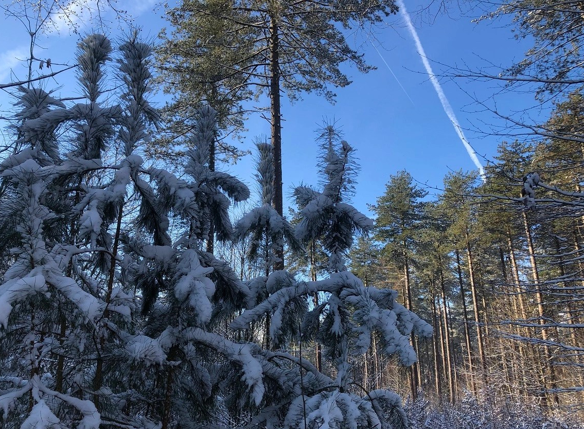 Loperspraat – Mijn sportieve voorjaar van&nbsp;2024