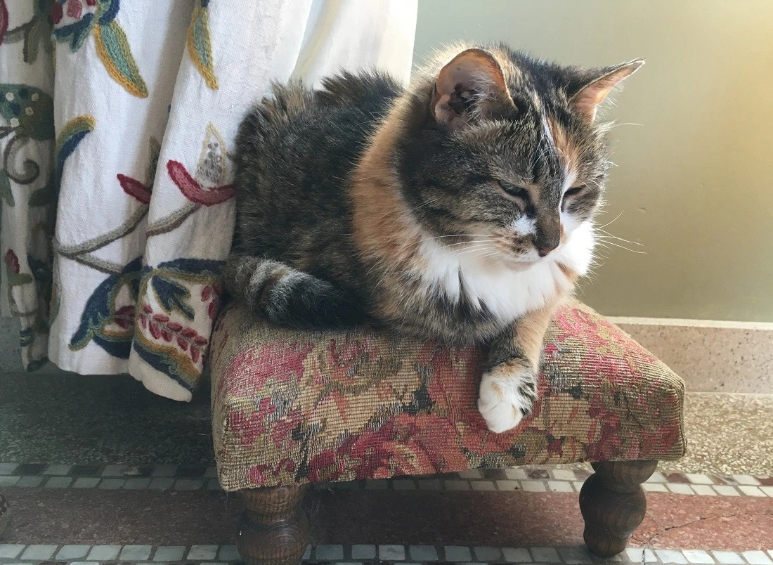 Het moment – Een vaarwel en tot&nbsp;ziens