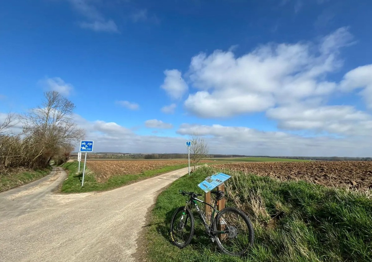 13 marathonweetjes op weg naar&nbsp;Milaan