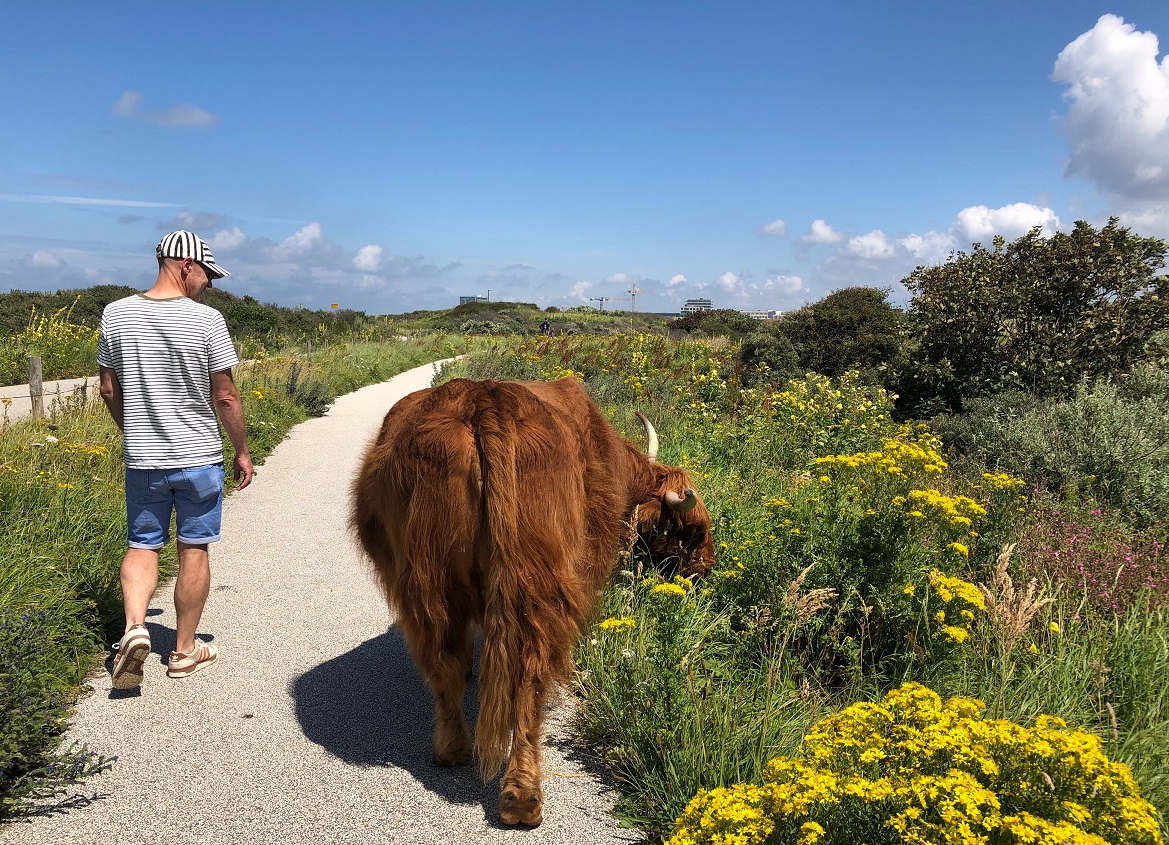 De gedachte – Over de zomer van&nbsp;2024