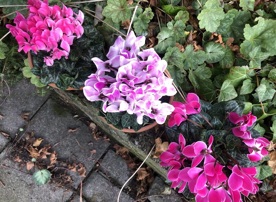 Het gerief – Mijn ultieme&nbsp;cadeautips