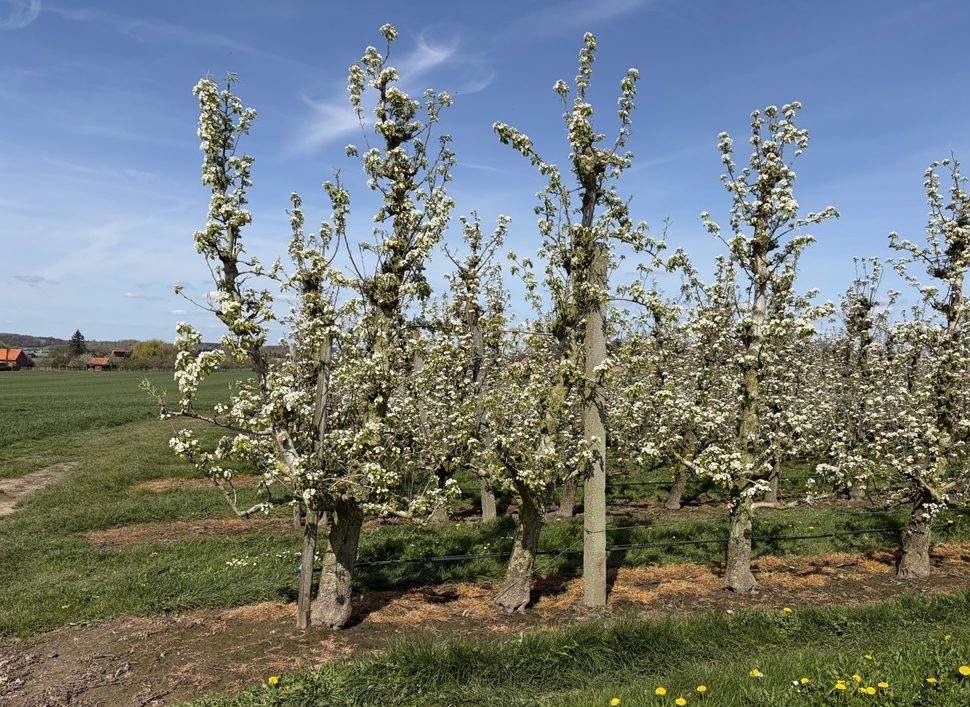 De gedachte – Over&nbsp;AI